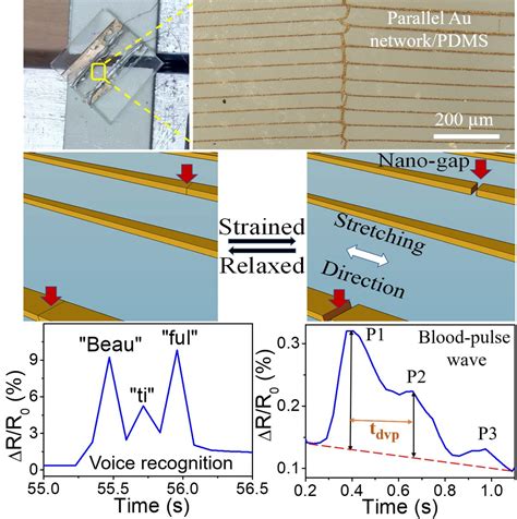 Lithography-Free Fabrication of Periodic Metal Network for Ultra ...
