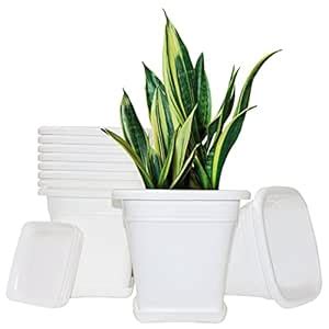 Aura 9 inch Square Virgin Plastic Flower Pot with Tray for House Garden ...