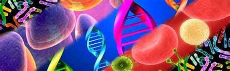 BIOGNOSYS TECHNOLOGIES (INDIA) PRIVATE LIMITED : Diagnosis Benchmarked ...