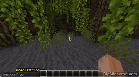 Image result for Minecraft Frog Command Block