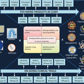 Image result for Biodegradable Polymers Flowchart