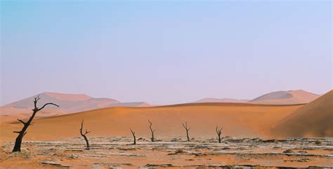 Image result for Alien Antenna