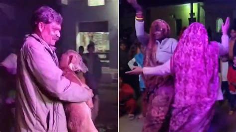 MP News: Villagers Dance & Party To Celebrate Birth Of 6 Puppies With ...