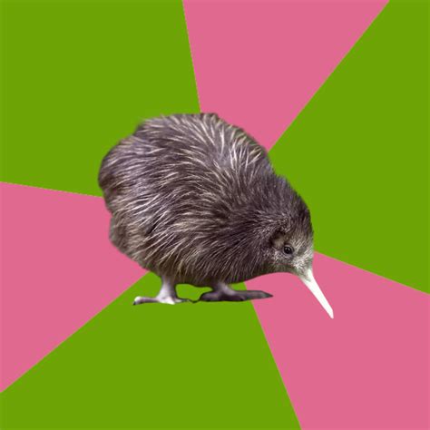 Kiwi pinwheel bird Blank Template - Imgflip