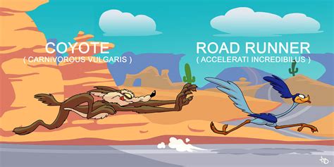 Road Runner Engineering Comic 的图像结果