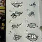 Cretacolor Cleos Fine Art Graphite Pencils Set of 12: Amazon.in: Office ...