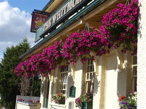 THE WHITMORE ARMS ORSETT - Menu, Prices & Restaurant Reviews - Tripadvisor