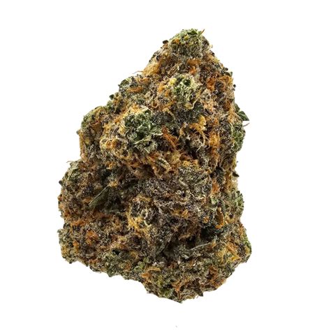 Grease Bucket THCA 31%| Kushte