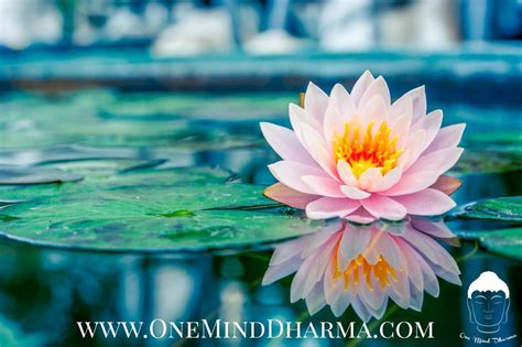 Image result for Right Intention Drawing