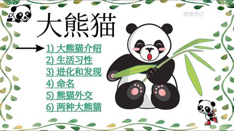 了解大熊猫🐼国宝熊猫Panda介绍| 可爱萌动物 猫熊 生活习惯 特点 进化和发现｜熊猫外交 四川大熊猫和陕西大熊猫