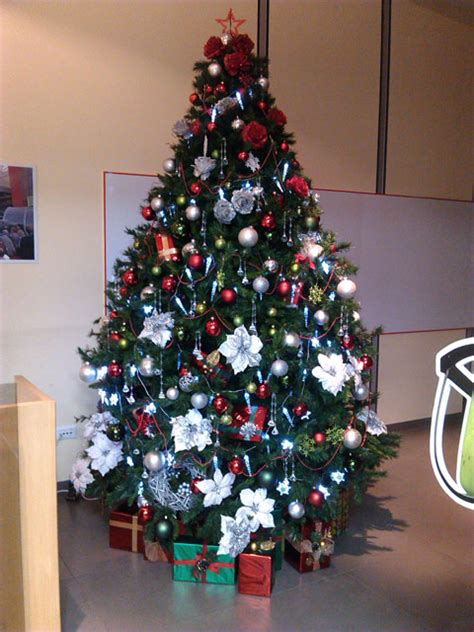 Usluge - Uređenje dvorišta i travnjaka, projektovanje zelenih površina