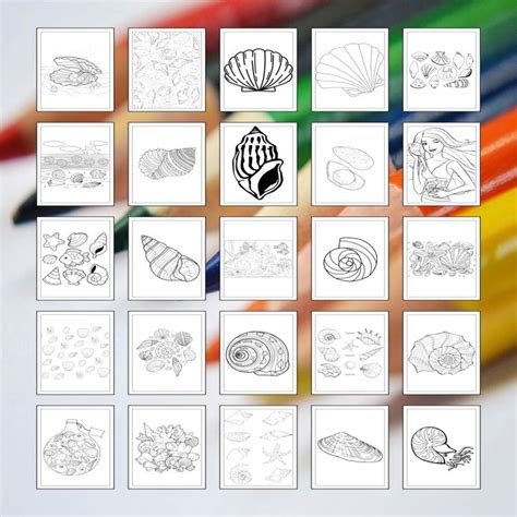 Image result for Sea Shells Printable