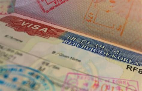 怎么查签证状态(怎么查签证状态信息) - 出国签证帮