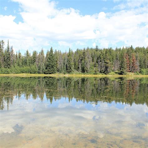WABASSO LAKE - All You Need to Know BEFORE You Go 2026 (with Photos ...