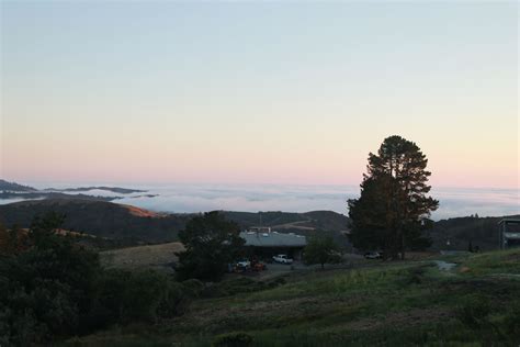 Djerassi Resident Artists Program | About - Djerassi Resident Artists ...