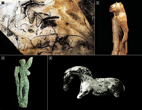 Image result for Ardipithecus Ramidus Fossils