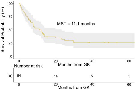 Cystic Brain Metastasis Outcomes After Gamma Knife Radiation Therapy - Advances in Radiation ...