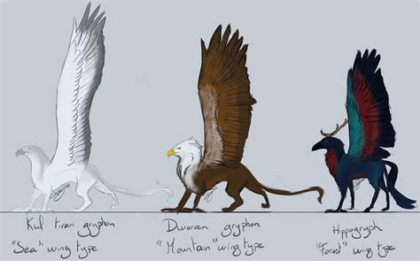Hippogriff Vs Griffin