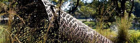 The Poche Centre for Indigenous Health | Yarning Circle, Westmead ...