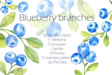 Blueberries, Watercolor Clipart Graphic by BelousovaEsha · Creative Fabrica