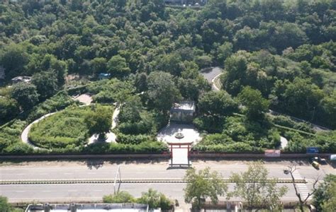 PICS: Statue of Unity में मियावाकी वन और भूलभुलैया बनेंगे नया आकर्षण ...