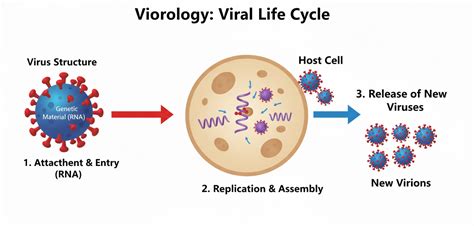 Virology | Carewell Pharma Blog