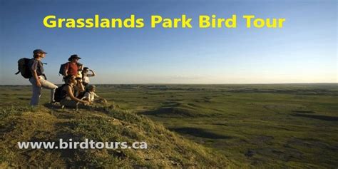 Grasslands National Park Birding Tour, Pioneer Co-op gas bar, Shaunavon ...