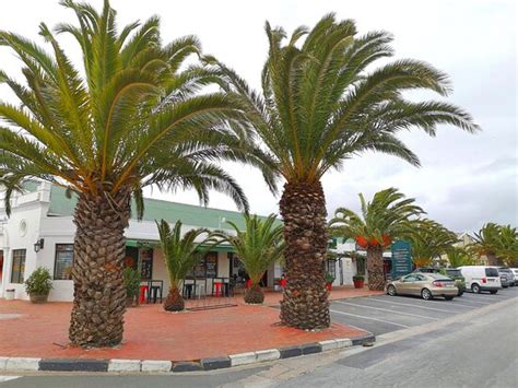 OLD FISHER HOUSE (Langebaan) - Guesthouse Reviews & Photos - Tripadvisor