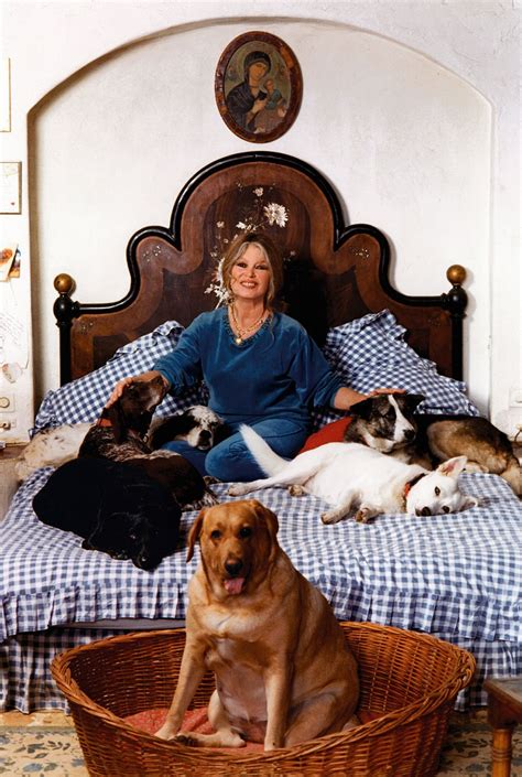 Pin on Brigitte Bardot