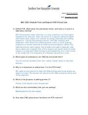 PCR Virtual Lab 的图像结果