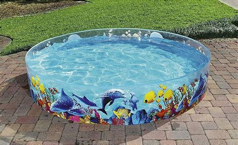 Surfer hit by 'big' creature after paddling out at closed beach: 'Unknown species'