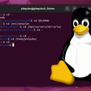 Image result for Linux Go Back One Folder