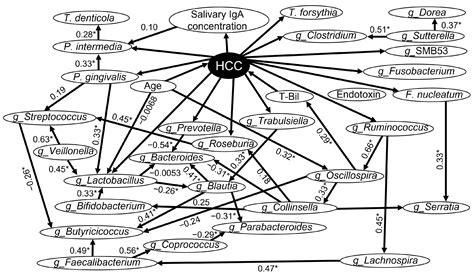 Relationship of Metabolic Dysfunction-Associated Steatohepatitis ...