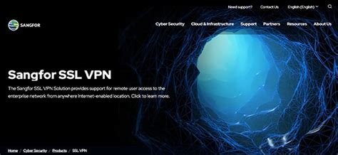 Image result for SSL VPN Service