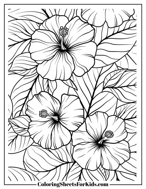 Hibiscus Coloring Pages (Free Downloads) - Coloring Sheets For Kids