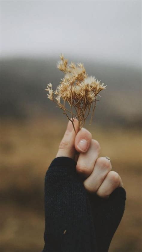 Life Is a Long Lesson in Humility 的图像结果