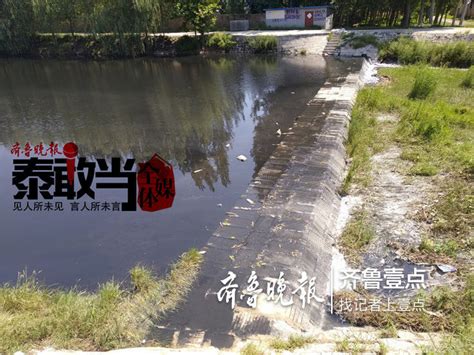 泰安王家河水库下游河水黑臭 环保部门已介入调查_山东频道_凤凰网