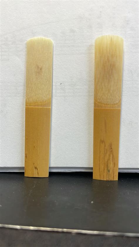 are moldy reeds safe to play : r/Clarinet