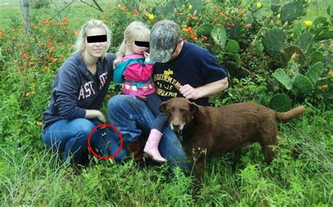 This family photo has something deadly in it. Can you find it? - India ...