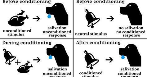 +Classical Condition Operant Conditioning 的图像结果