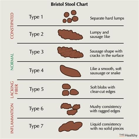 Poop Types 的图像结果