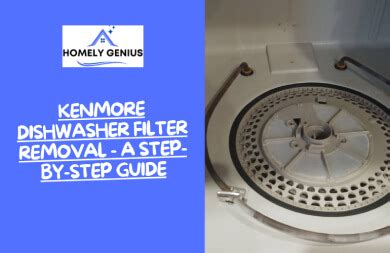 Image result for How to Clean Kenmore Filter