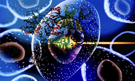 Image result for Protein Extraction Graphical Abstract