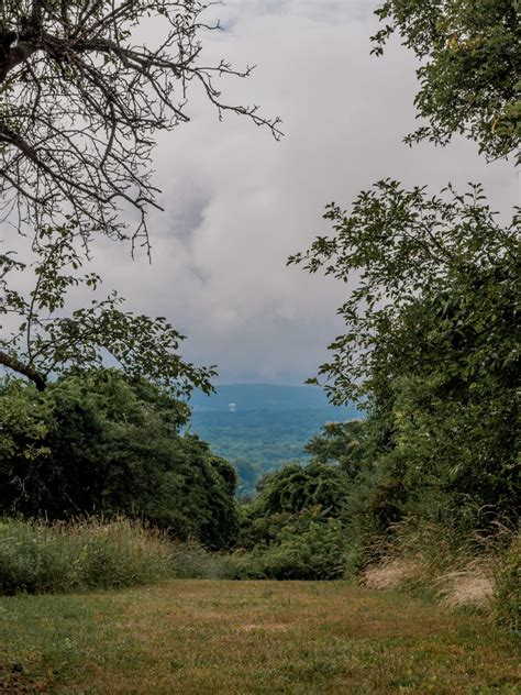 Peach Hill Park - Made in Mauve