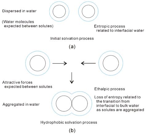 The Hydrophobic Effects: Our Current Understanding
