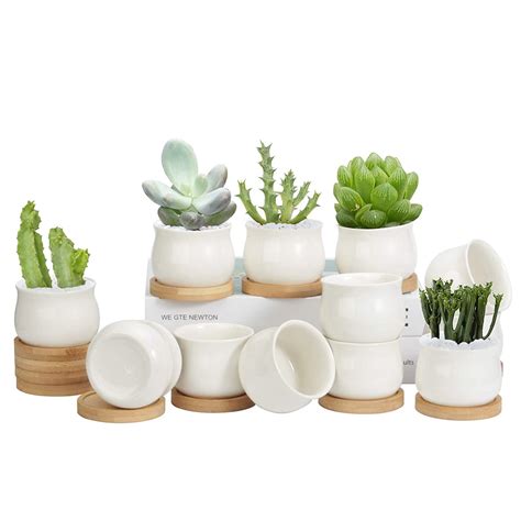 12 Pack Succulent Pots, 2.6 Inch ZOUTOG Mini Ceramic Pots for Flower or ...