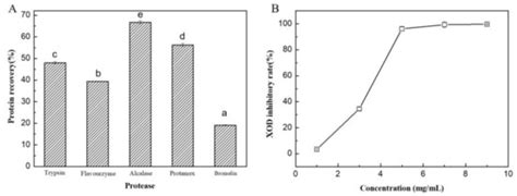 Releasing Bioactive Compounds from Brown Seaweed with Novel Cold ...