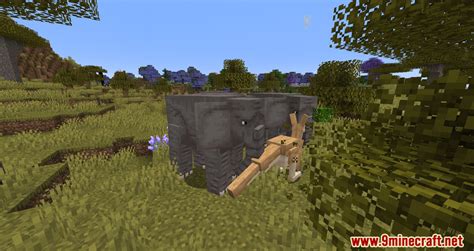 Valhesia Mod 的图像结果