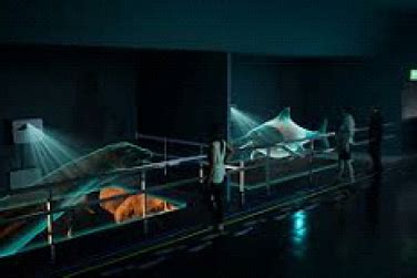 3D Hologram in Museums, Digital Twins & 3D Holo Displays