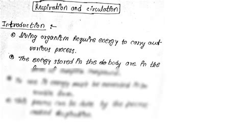 Circulation Class 12 的图像结果